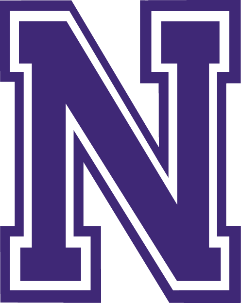 Northwestern State Demons 2000-2007 Alternate Logo iron on transfers for T-shirts